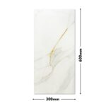 BGEM Wall Tile 300X600 9045-L(NEW)