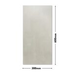 BGEM Wall Tile 300X600 112-L(NEW)