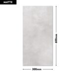 Range Wall Tile FROLIS GRIS 300x600mm