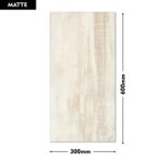 Range Wall Tile ES-702-BASE 300x600mm