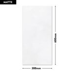 Range Wall Tile FROLIS BLANCO 300x600mm