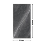 Domingo Wall Tile GLO-1466-DK 300x600mm
