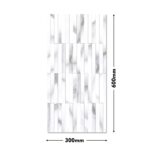 Domingo Wall Tile EXP-GLO-167-HL1 300x600mm