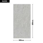 Erica Wall Tile 1092-D 300x600mm