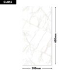 Erica Wall Tile 1673-L-R 300x600mm