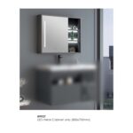 Mirror with Shelf &  LED Light T-9558