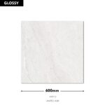 Aneto Ash RG 600X600 (Glossy)