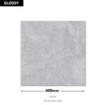 DM Michigan Gris 600x600MM