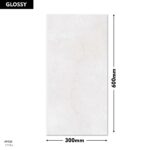Erica Wall Tile 1719-L 300x600mm