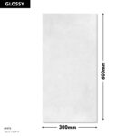 DM Wall Tile 1339-L 300x600mm