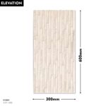 DM E-31-1602 Elevation Tiles 300x600mm