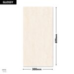 DM Wall Tile 1413-L 300x600mm