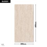 DM Wall Tile 1413-D 300x600mm