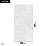 DM Wall Tile 1294-L 300x600mm