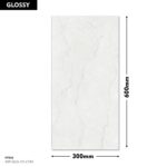 Domingo Wall Tile EXP-GLO-121-LT-R3 300x600mm