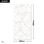 Erica Wall Tile 1673-HL1 300x600mm