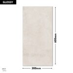 Erica Wall Tile 1574-L(R) 300x600mm