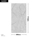 DM Devci Grey 600X1200MM