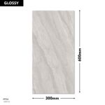 DM Wall Tile 1007-D 300x600mm