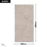 DM Wall Tile EXP-GLO-1419-D 300x600mm