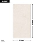 DM Wall Tile EXP-GLO-1419-L 300x600mm