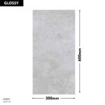 DM Wall Tile 8052-D 300x600mm