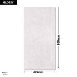 DM Wall Tiles 5023-L  300x600 (GLOSSY)