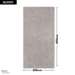 DM Wall Tile 5023-DK 300x600 (GLOSSY)
