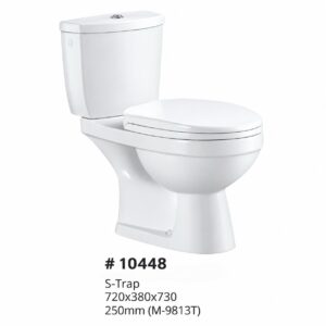Two Piece Toilet SG 720x380x730 S-Trap 250mm (M-9813T)
